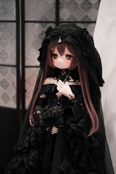 拍过等于买过系列：shdp2024记录