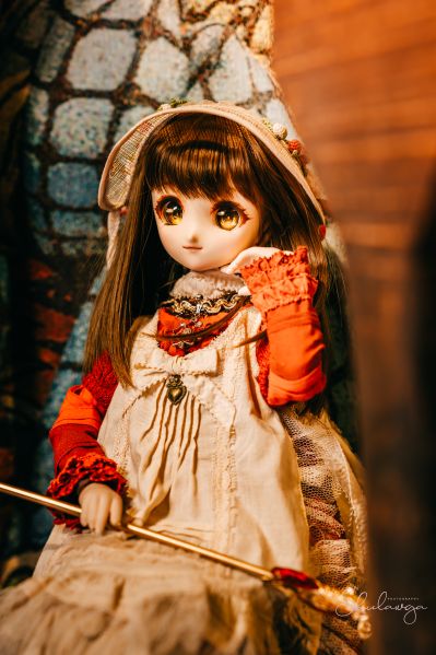 Dollfie Dream  DD 库特wafter 能美库特