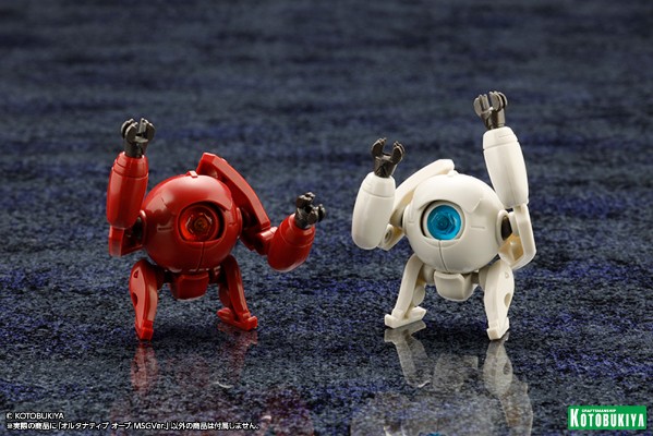 六角机牙 ALTERNATIVE ORB EARTHCLINE BIOMECHANICS