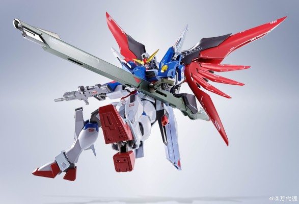 METAL ROBOT魂 ＜机动战士系列＞ 命运高达 [Re:Coordinate]