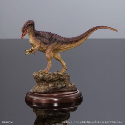 生物大图鉴 陈列模型系列 恐龙3