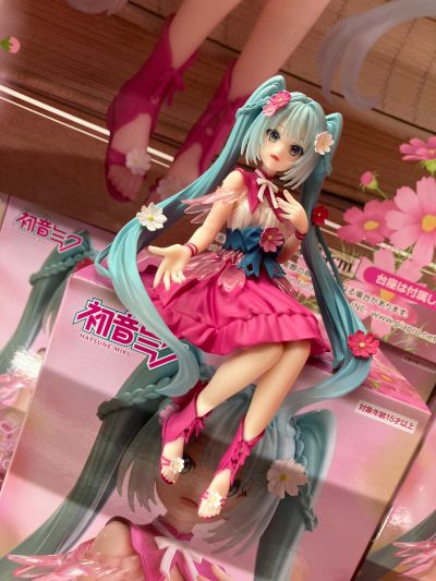 压泡面 初音未来 花仙子 波斯菊