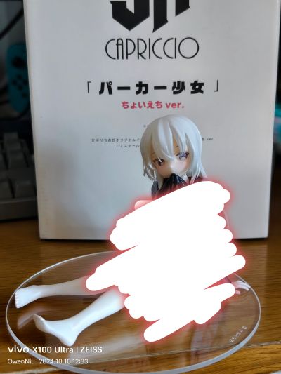 连帽衫少女 略带Hver.