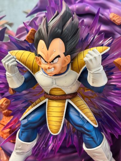 龙珠Z 贝吉塔 Dragon Ball Selection 