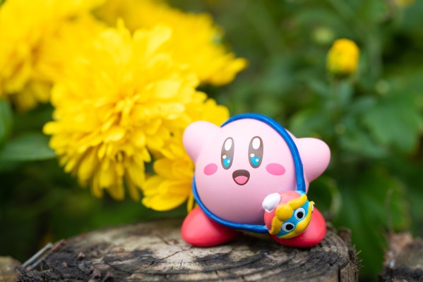 宝可梦拼装模型系列 快快拼 13 妙蛙种子