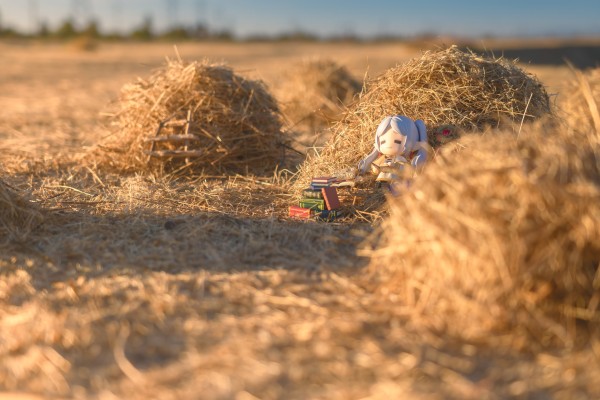 粘土人#2600 葬送的芙莉莲 宝箱怪