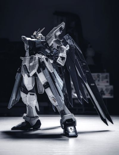 RG 1/144 ZGMF-X10A  自由高达 装甲未启动样式