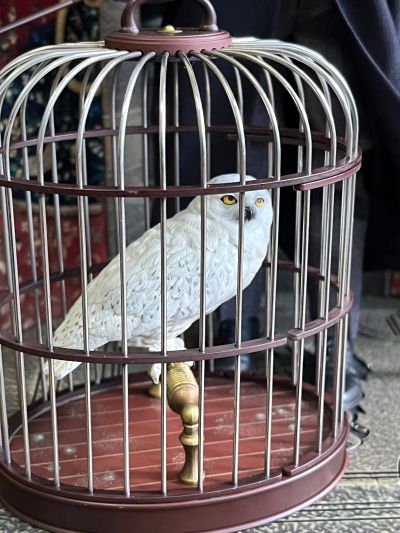 哈利波特与魔法石 哈利波特 学院服