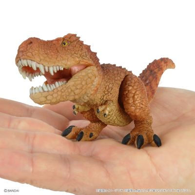 爬行生物大图鉴 恐龙