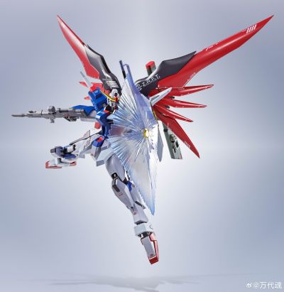 METAL ROBOT魂 ＜机动战士系列＞ 命运高达 [Re:Coordinate]