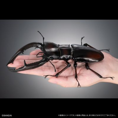 进化生物大图鉴 长颈鹿锯锹+巨颚叉角锹形虫 展示架套装