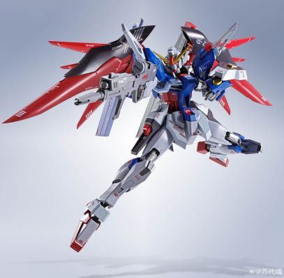 METAL ROBOT魂 ＜机动战士系列＞ 命运高达 [Re:Coordinate]