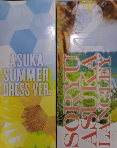 PM 手办 EVA 明日香 サマービーチ