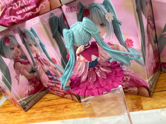 压泡面 初音未来 花仙子 波斯菊