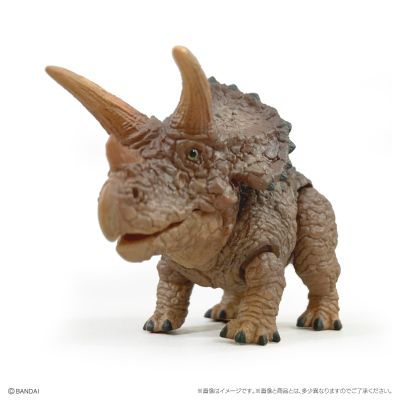 爬行生物大图鉴 恐龙