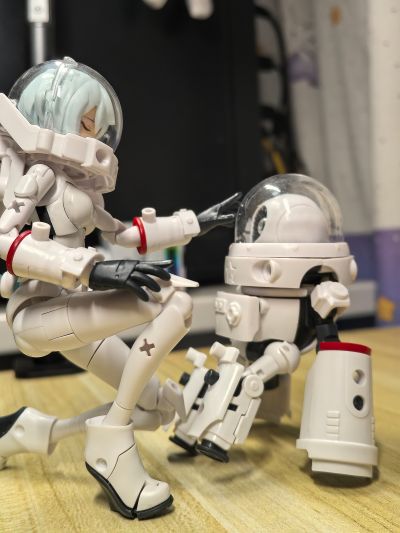 Vlocker's Fiore  FIORE SPACE INDUSTRY TYPE VOLKS