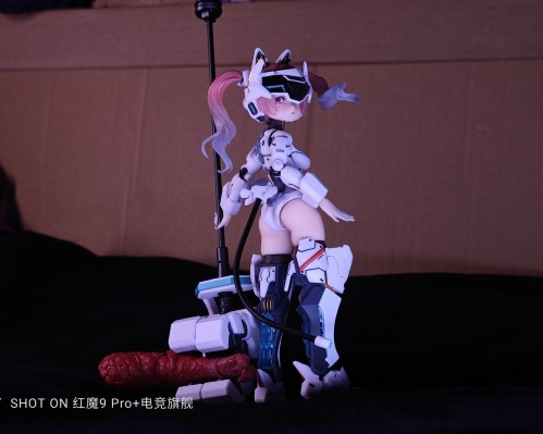 EveD系列AMBRA-02(强袭猫) 安布拉