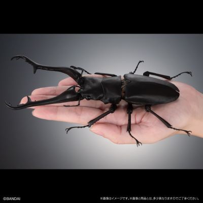 进化生物大图鉴 长颈鹿锯锹+巨颚叉角锹形虫 展示架套装