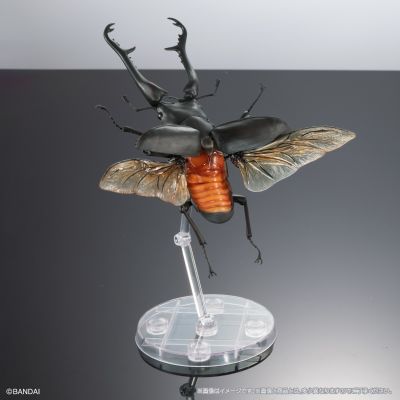 进化生物大图鉴 长颈鹿锯锹+巨颚叉角锹形虫 展示架套装