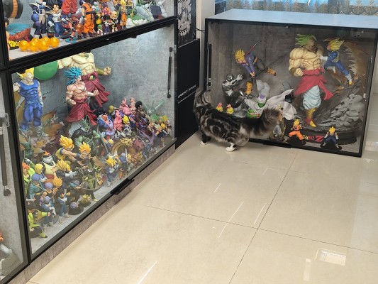 S.H.Figuarts 孙悟空-龙珠大魔-