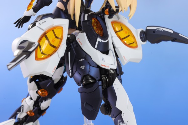 赛博森林 飓风飞蝗 叶风婵