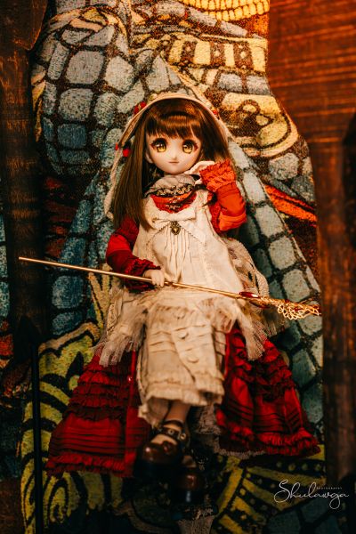 Dollfie Dream  DD 库特wafter 能美库特