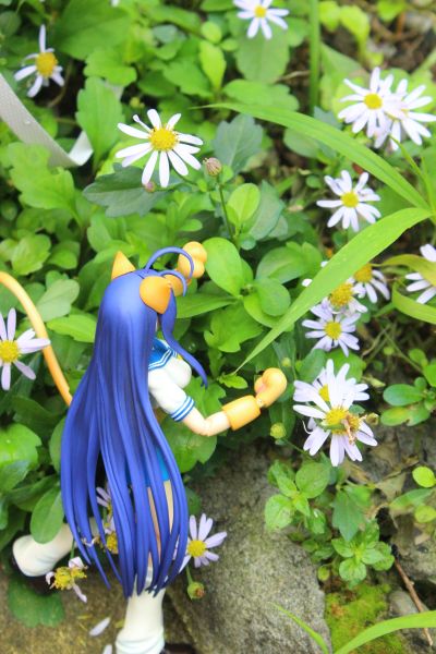 Figutto！ 一骑当千XX 关羽云长 -ネコミミver.- 可动手办