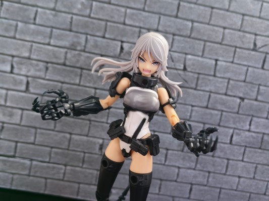 VLOCKer's FIORE 龙血 与 星云