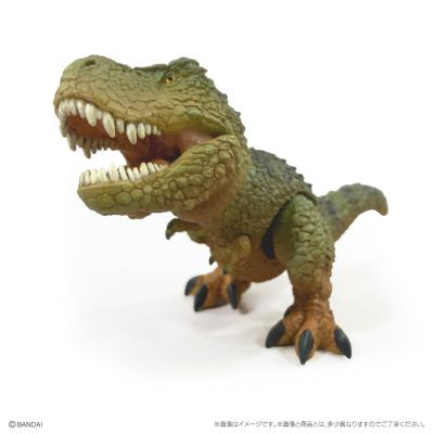 爬行生物大图鉴 恐龙