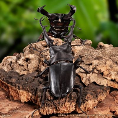 进化生物大图鉴 长颈鹿锯锹+巨颚叉角锹形虫 展示架套装