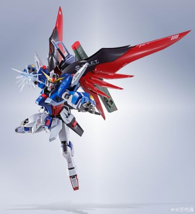 METAL ROBOT魂 ＜机动战士系列＞ 命运高达 [Re:Coordinate]