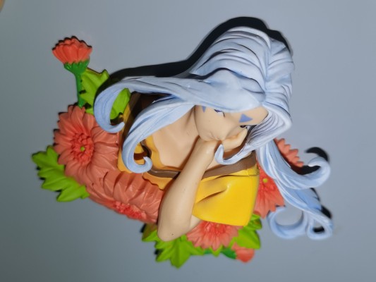 我的女神 詩蔻蒂