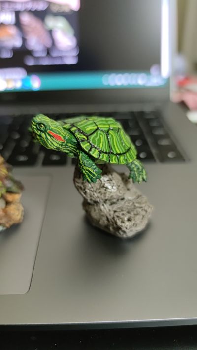 生物大图鉴 迷你系列 龟01