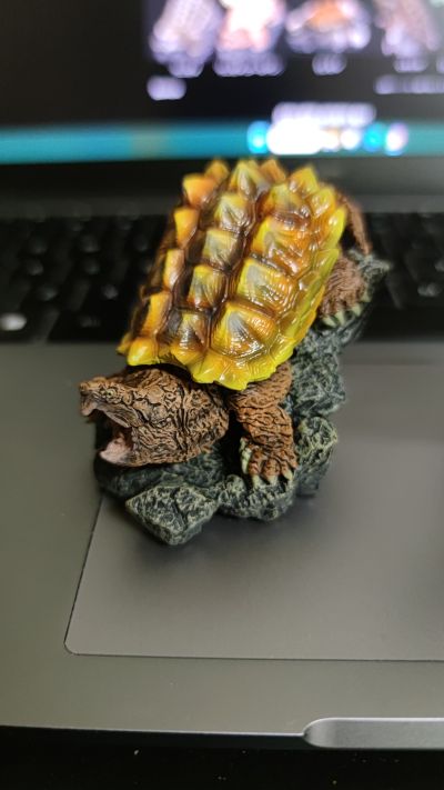 生物大图鉴 迷你系列 龟01