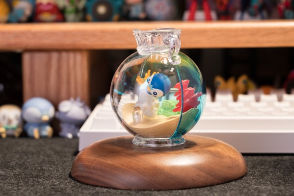 宝可梦 水瓶系列2 难忘的海边回忆