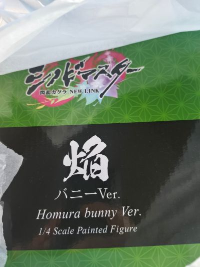 B-style 忍者大师 闪乱神乐 NEW LINK 焰 兔女郎