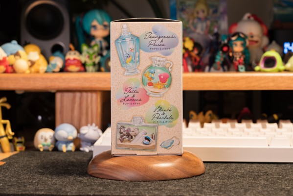 宝可梦 水瓶系列2 难忘的海边回忆