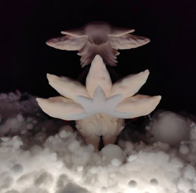 来自深渊 烈日黄金乡 梅尼亚/咪喵