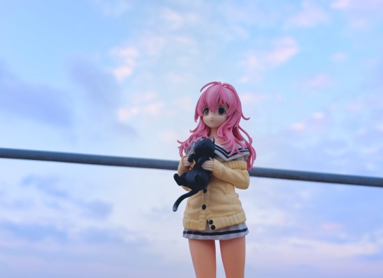 君与彼女与彼女之恋。 向日葵