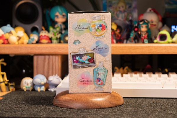 宝可梦 水瓶系列2 难忘的海边回忆