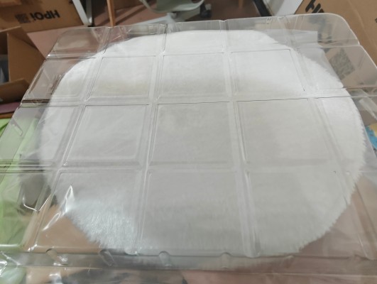 女仆之家系列 白石透