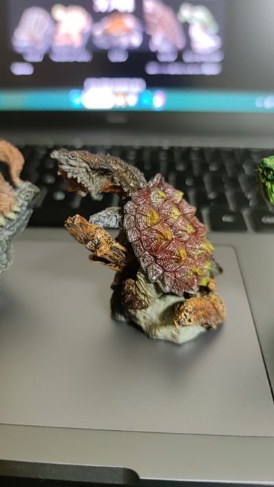 生物大图鉴 迷你系列 龟01