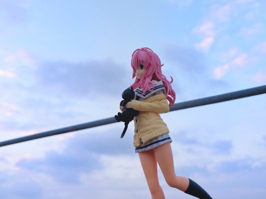 君与彼女与彼女之恋。 向日葵