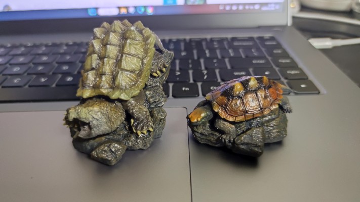 生物大图鉴 迷你系列 龟01