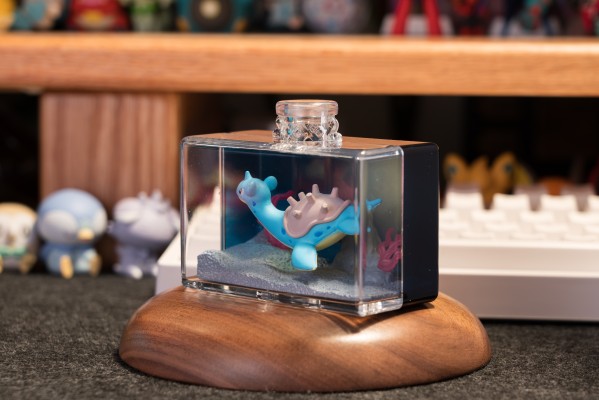 宝可梦 水瓶系列2 难忘的海边回忆