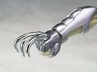 圣斗士圣衣神话 海蛇座市