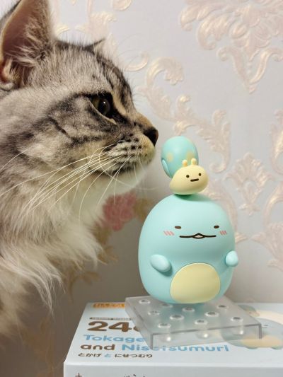 粘土人#2460 角落小伙伴  蜥蜴和假蜗牛