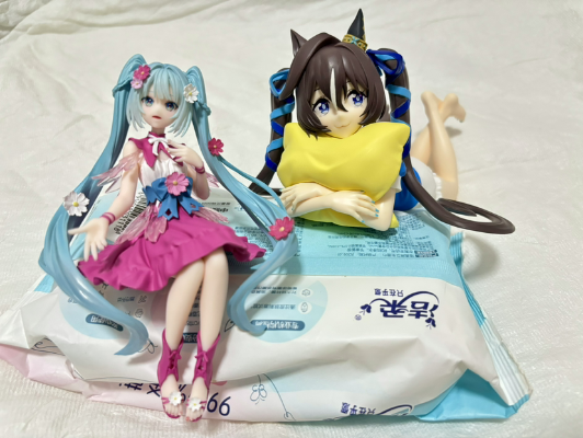 压泡面 初音未来 花仙子 波斯菊