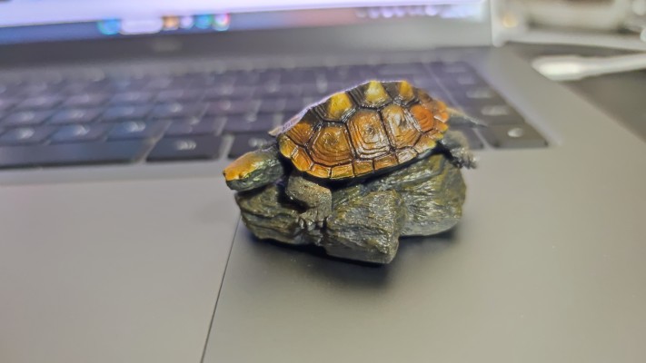 生物大图鉴 迷你系列 龟01