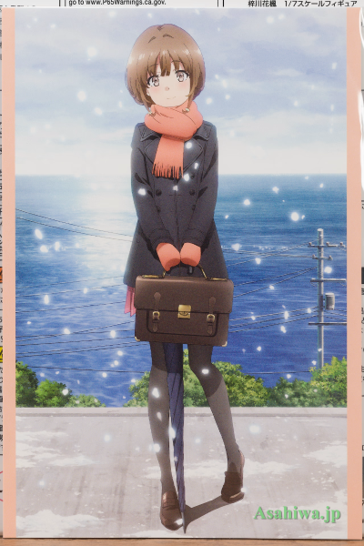 青春猪头少年不会梦到娇怜外出妹 梓川花枫